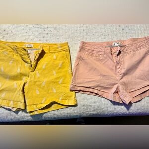 2 pairs of Stitch Fix Market & Spruce shorts 10